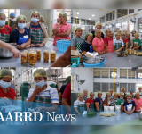 AABH empowers Los Baños farmers with saba banana processing training